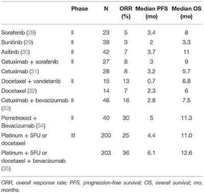 Beyond EGFR Targeting in SCCHN: Angiogenesis, PI3K, and Other Molecular Targets